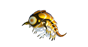 Electropod 1.0-0.png