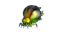 Triton Spider 1.0.png