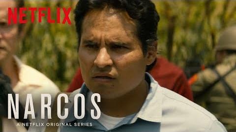 Narcos Mexico Meet Agent Kiki Camarena HD Netflix