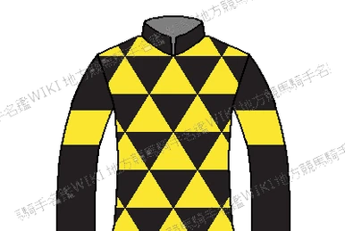 31288 | 地方競馬騎手名鑑Wiki | Fandom