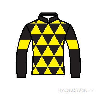 31272 | 地方競馬騎手名鑑Wiki | Fandom