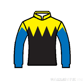 浦和競馬　勝負服　國分騎手サイン入り Amazon.co.jp: 浦和競馬 騎手 勝負服 タオル 競馬 地方競馬