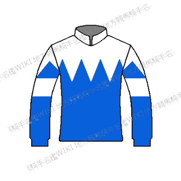 30935 | 地方競馬騎手名鑑Wiki | Fandom