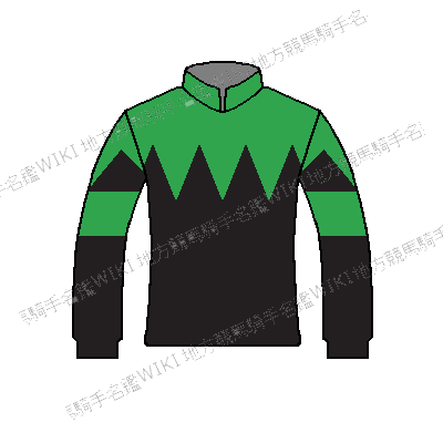 31238 | 地方競馬騎手名鑑Wiki | Fandom