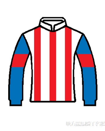 310 地方競馬騎手名鑑wiki Fandom