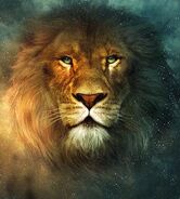 Aslan2