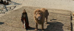 Aslan NARNIA 3 - the lion by ozlemcan69