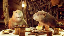 Mr. and mrs. beaver 3