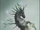Sea Horse