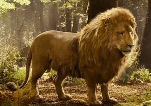 The lion Aslan, from The chronicles of narnia, in the nature