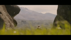 Temp-320-41537692.gif