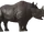 Rhinoceros