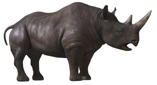 Rhinoceros | The Chronicles of Narnia Wiki | Fandom