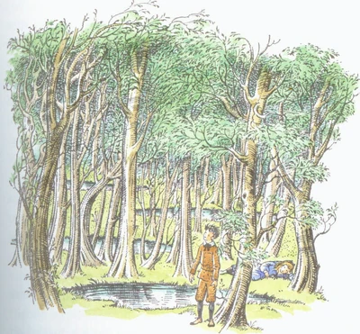 Woodbetweenworlds