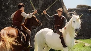 DI-The-Chronicles-of-Narnia-The-Lion-The-Witch-and-The-Wardrobe-10-DI-to-L10.jpg (107 KB)