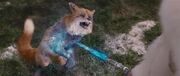 Foxstone.jpg