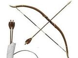 Susan's bow and arrows