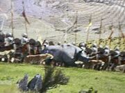 IMG 9329