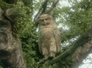 Светлое Перо на дереве СКс.jpg (257 КБ) Сова в сериале