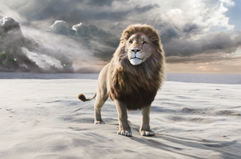 Aslan Wiki Narnia Fandom