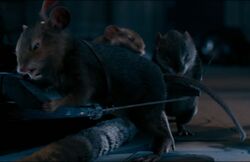 Reepicheep the Mouse from The Chronicles of Narnia Voyage of the