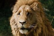 Aslan!