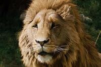 Aslan!