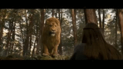 Aslan on X: Aslan, who seemed larger than before, lifted his head, shook  his mane and roared. #PrinceCaspian #Aslan #Narnia #CSLewis   / X