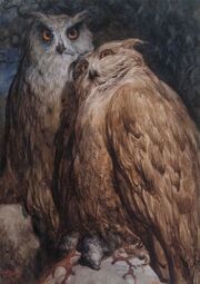 Twoowls.jpg