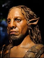 Glenstormface.jpg (10 KB) Glenstorm.