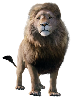 Golden Age of Narnia, The Chronicles of Narnia Wiki