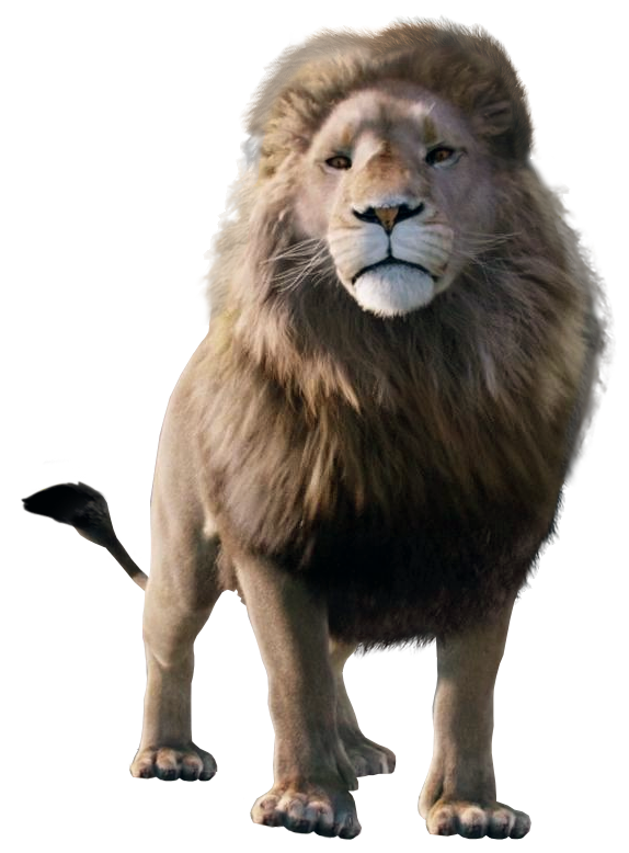 Lion, The Chronicles of Narnia Wiki