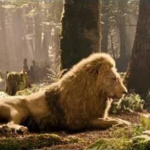 Aslan The Chronicles Of Narnia Wiki Fandom