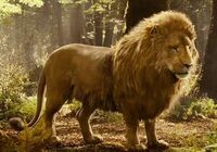 Aslan-PC.JPG