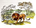 Aslan (disambiguation)