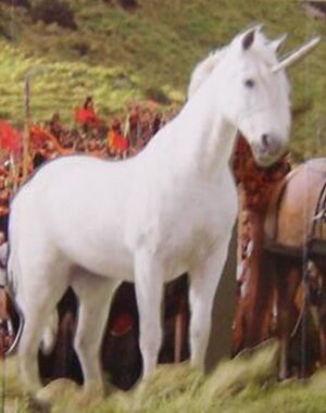 Unicorn.jpg