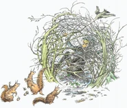 Andrewcage.jpg (250 KB) Andrew in his cage.