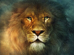 Chronicles of Narnia Aslan he's Not a Tame 