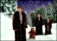 Winterland - Narnia