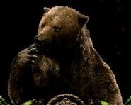 The Bulgy Bear from the Prince Caspian film.