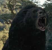 The black bear that was chasing Lucy in The Chronicles of Narnia: Prince Caspian (film).