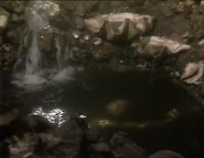 Водоём с золотоносной водой