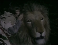 Люси встречает Аслана.