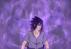 Sasuke Ribcage 2