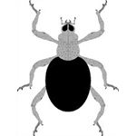 Aburame | Naruto: Age Of The Clans Wikia | Fandom