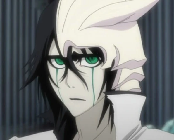 Ulquiorra Cifer | Naruto and Bleach Wiki | Fandom