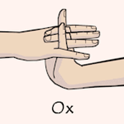 Hand Seals Guide Complete Naruto Hand Seals Guide Wiki Fandom How it is done and what are the hand signs to follow. complete naruto hand seals guide wiki