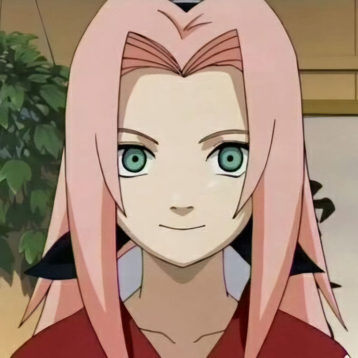 Theory - theoryブラウス★sakura Sakura Haruno | Character Tiers Wiki | Fandom