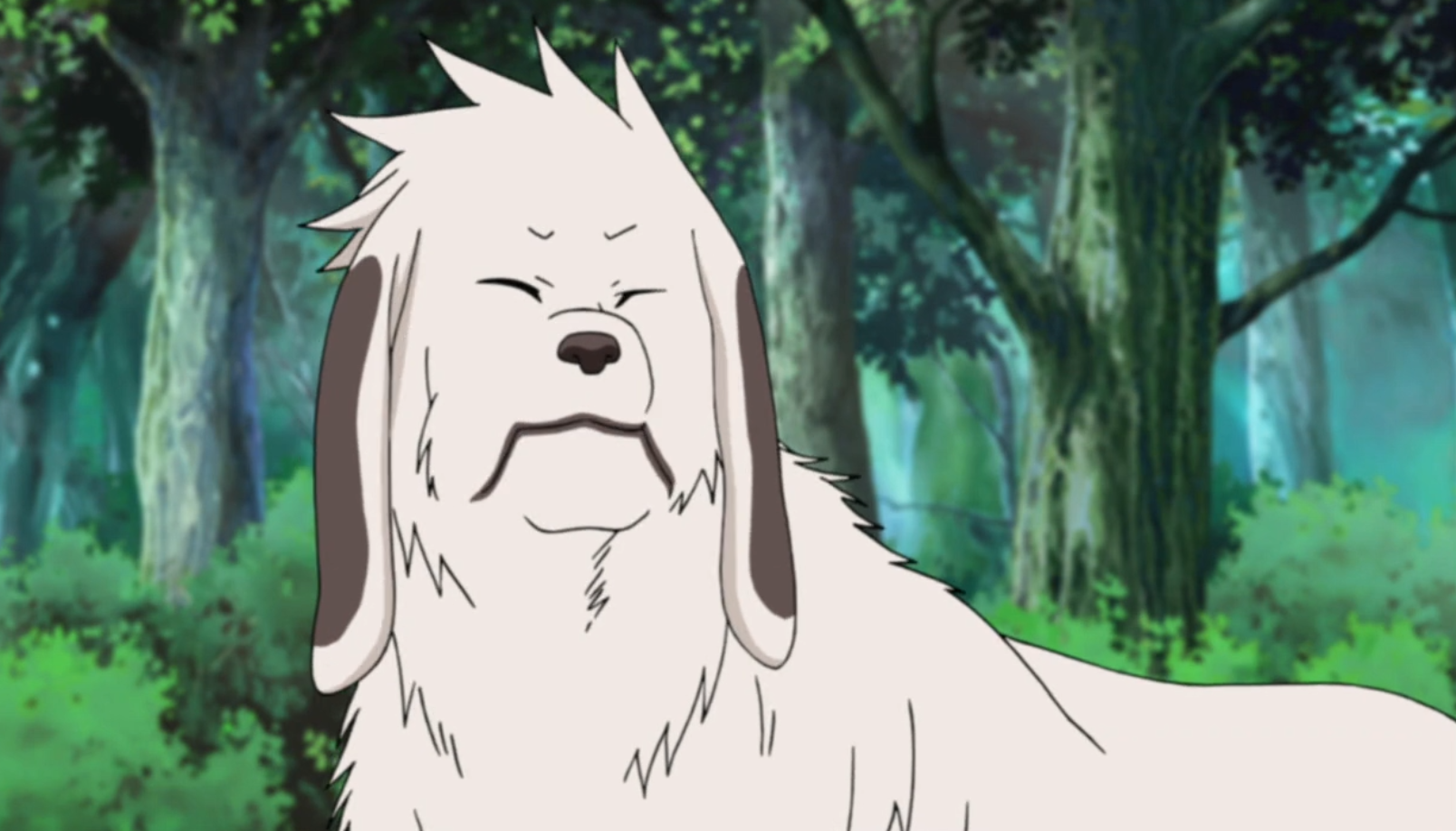 Akamaru | Naruto, One Piece and Fairy Tail Wiki | Fandom