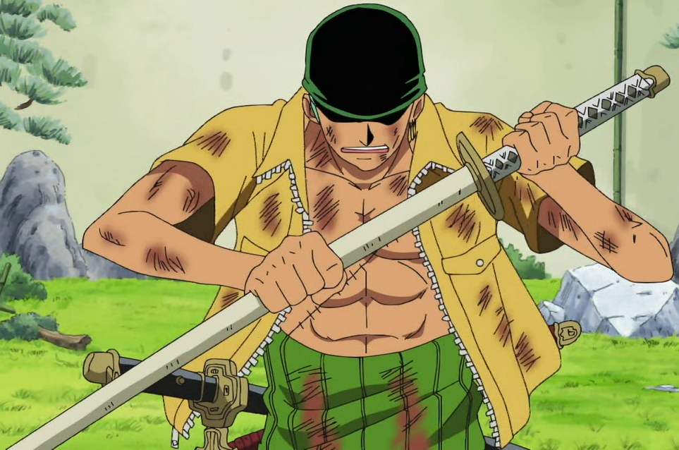 Roronoa Zoro, One Piece and Fairy Tail Wikia